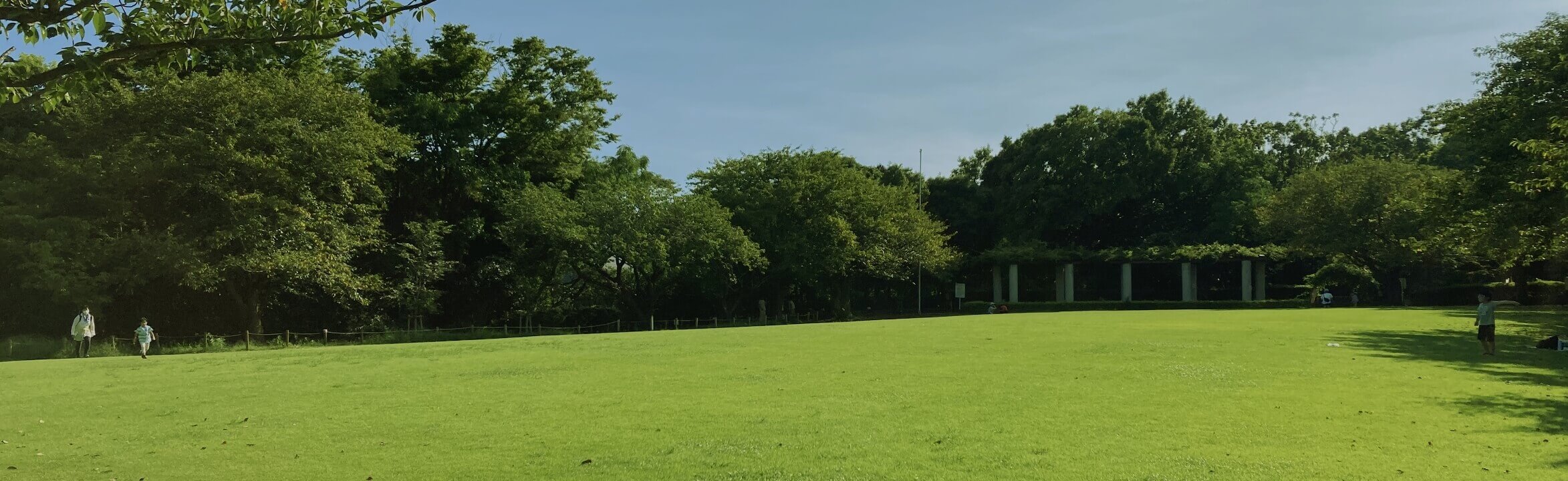 みどりの贈り物