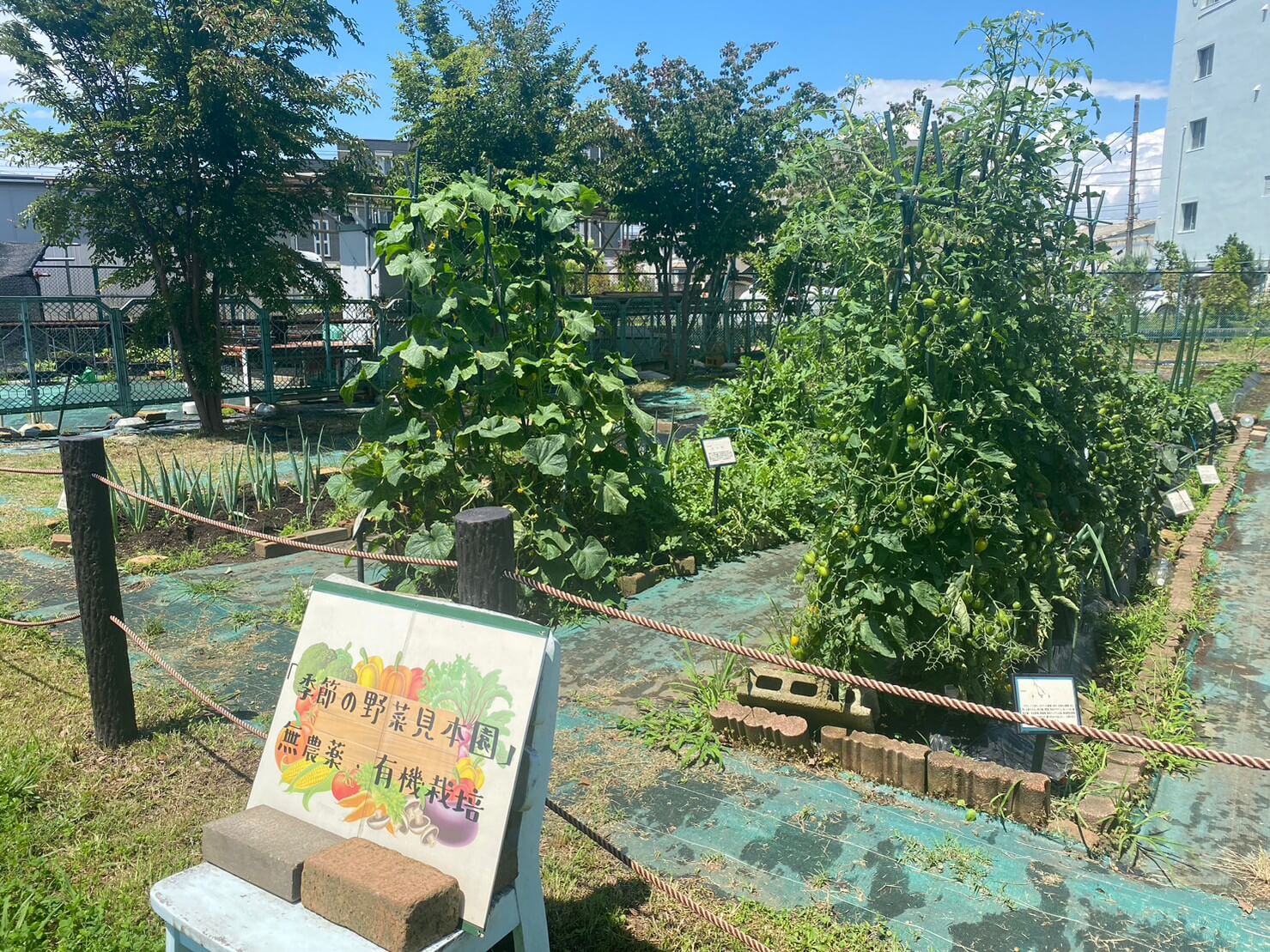 菜園見本園