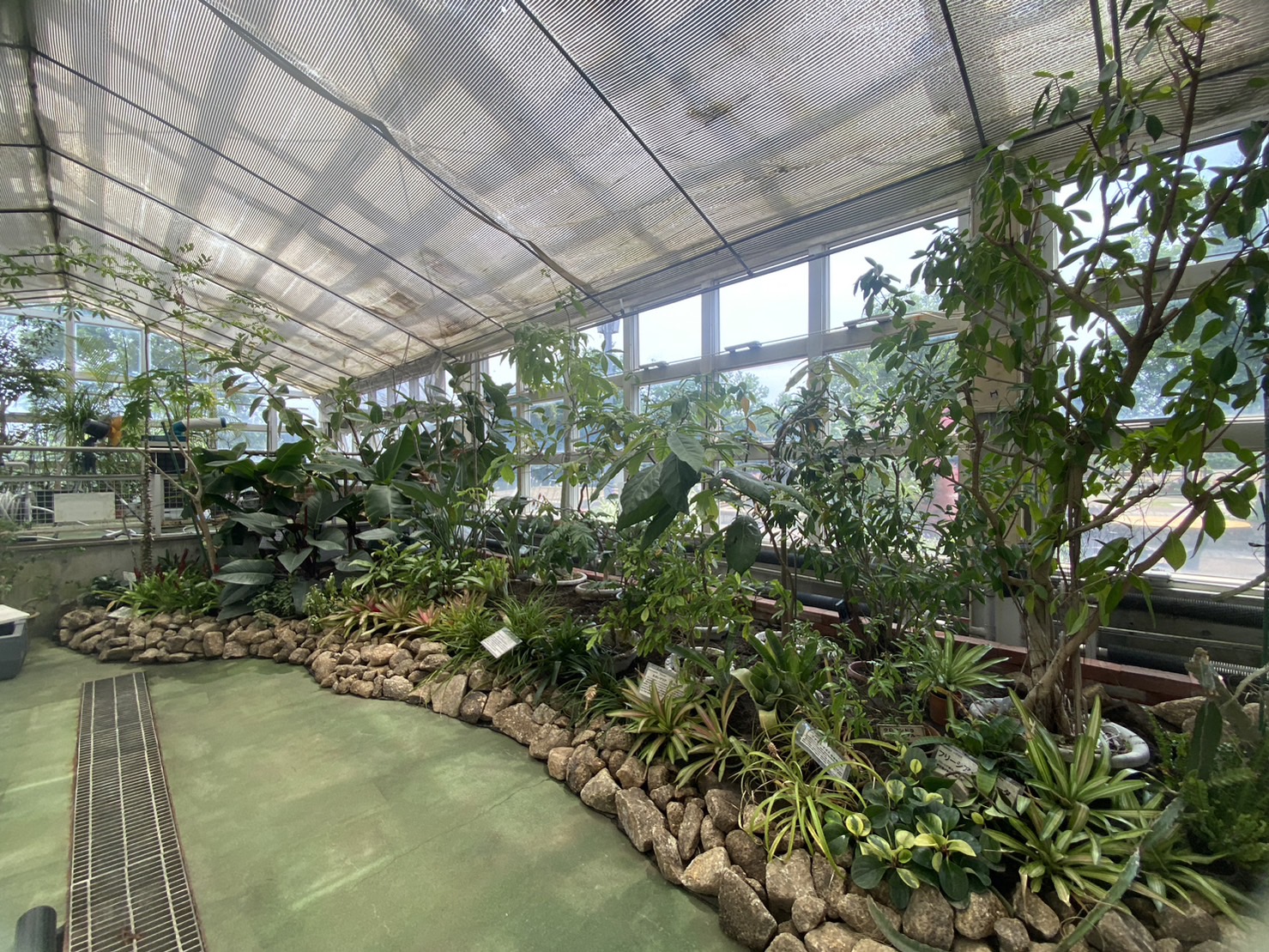 展示温室”テラリウムハウス”