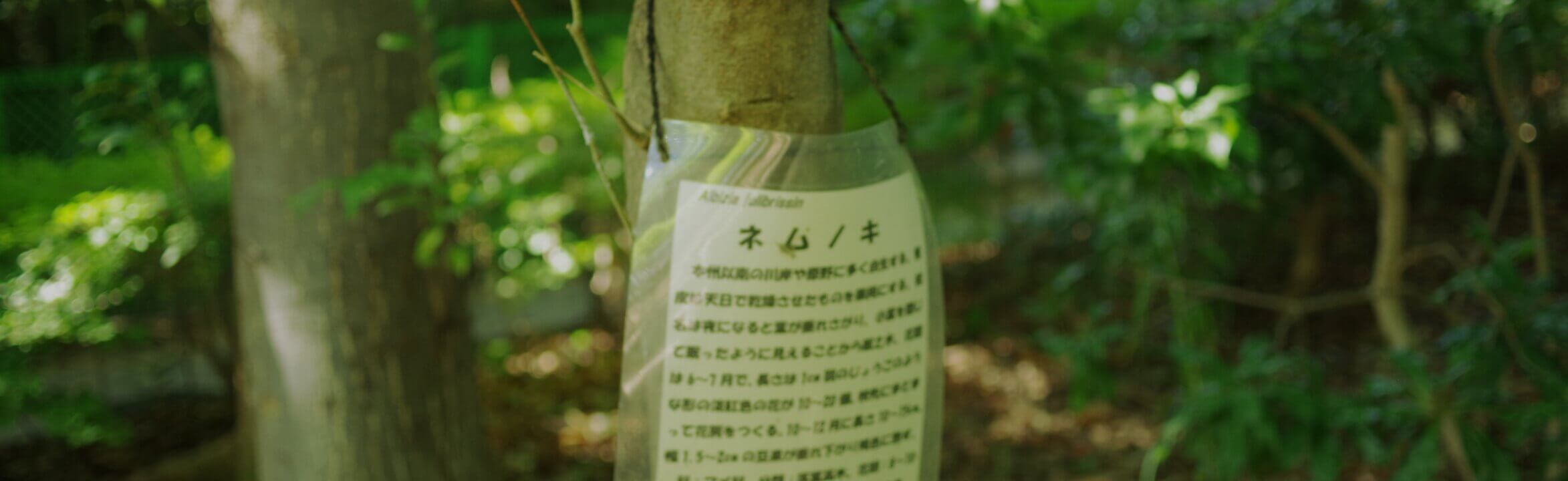 オンライン植物園