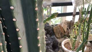 過去の動画