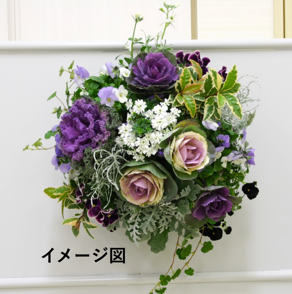 『キャンセル待ち』趣味の園芸でおなじみの井上まゆ美先生に教わるハンギングバスケット