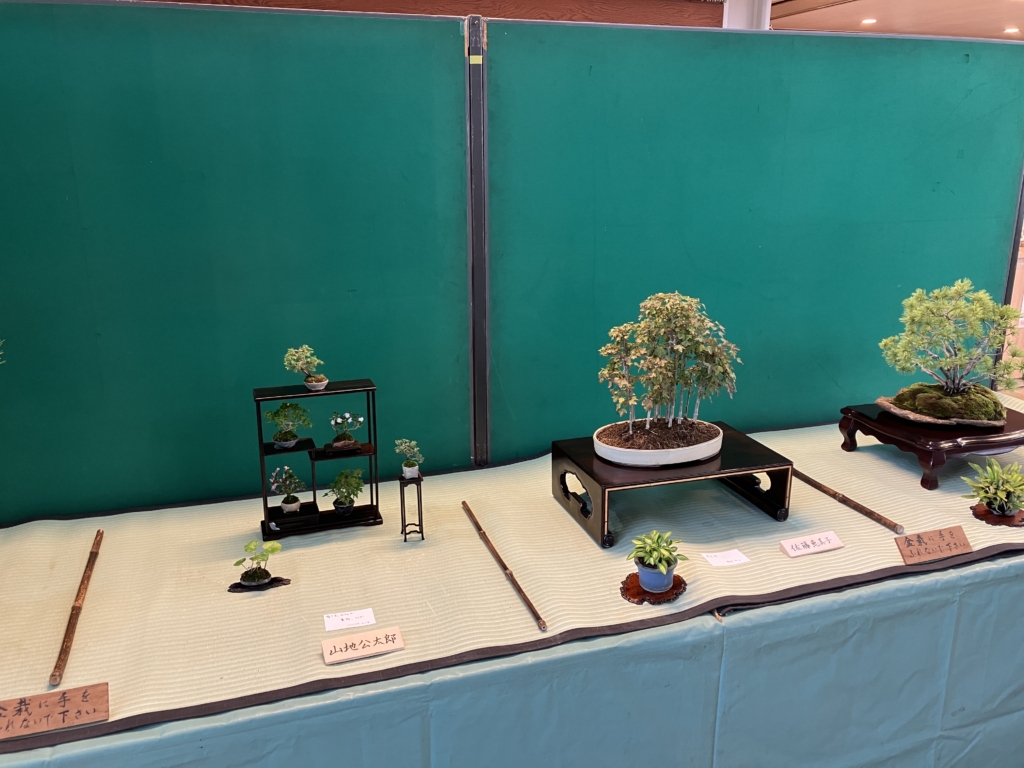 盆栽展～樹形へのいざない～