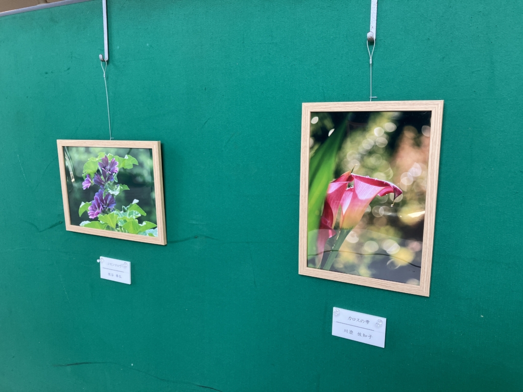 長久保の花と生きもの写真展（講習会参加者作品展）