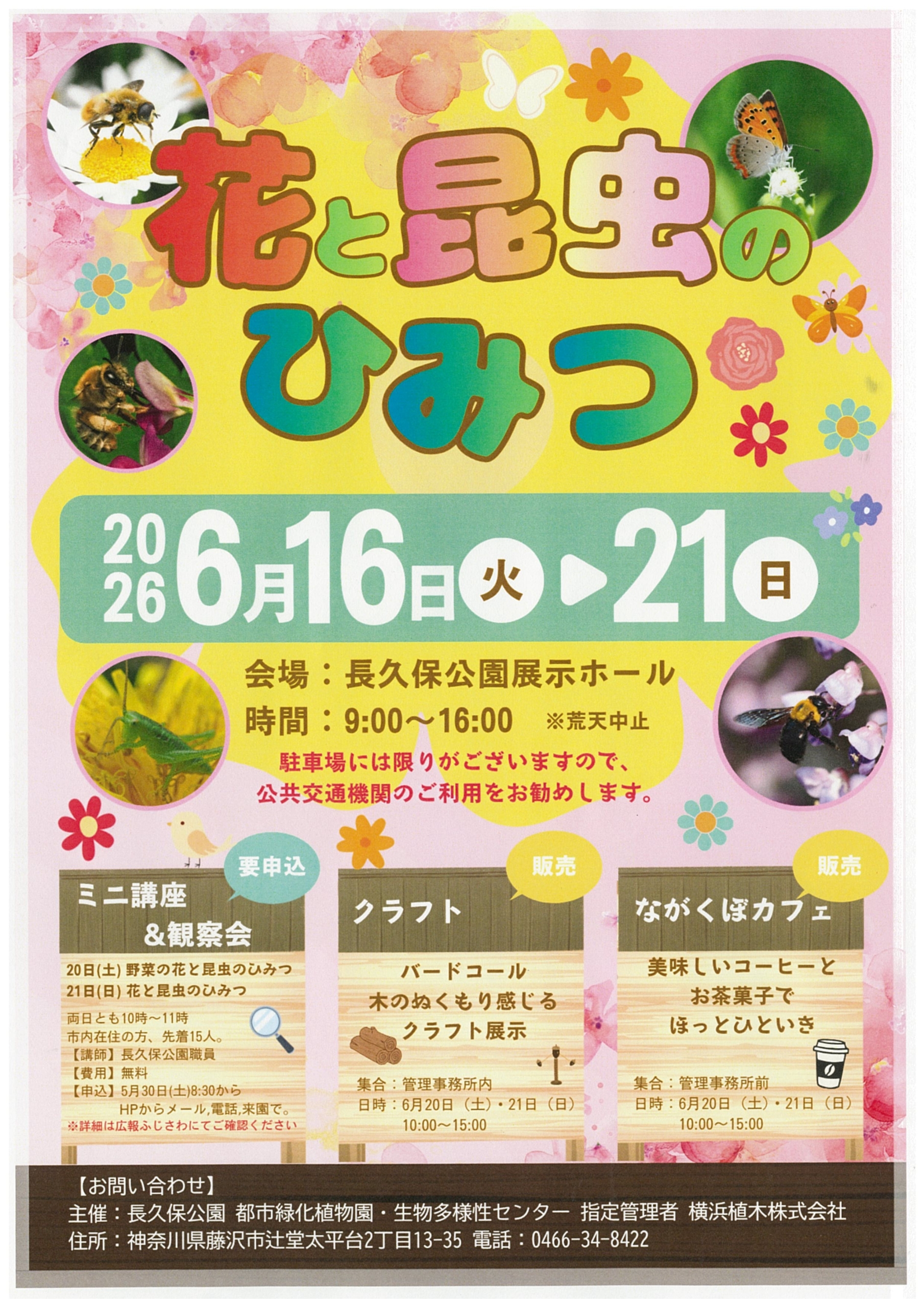 「花と昆虫のひみつ」実施のお知らせ