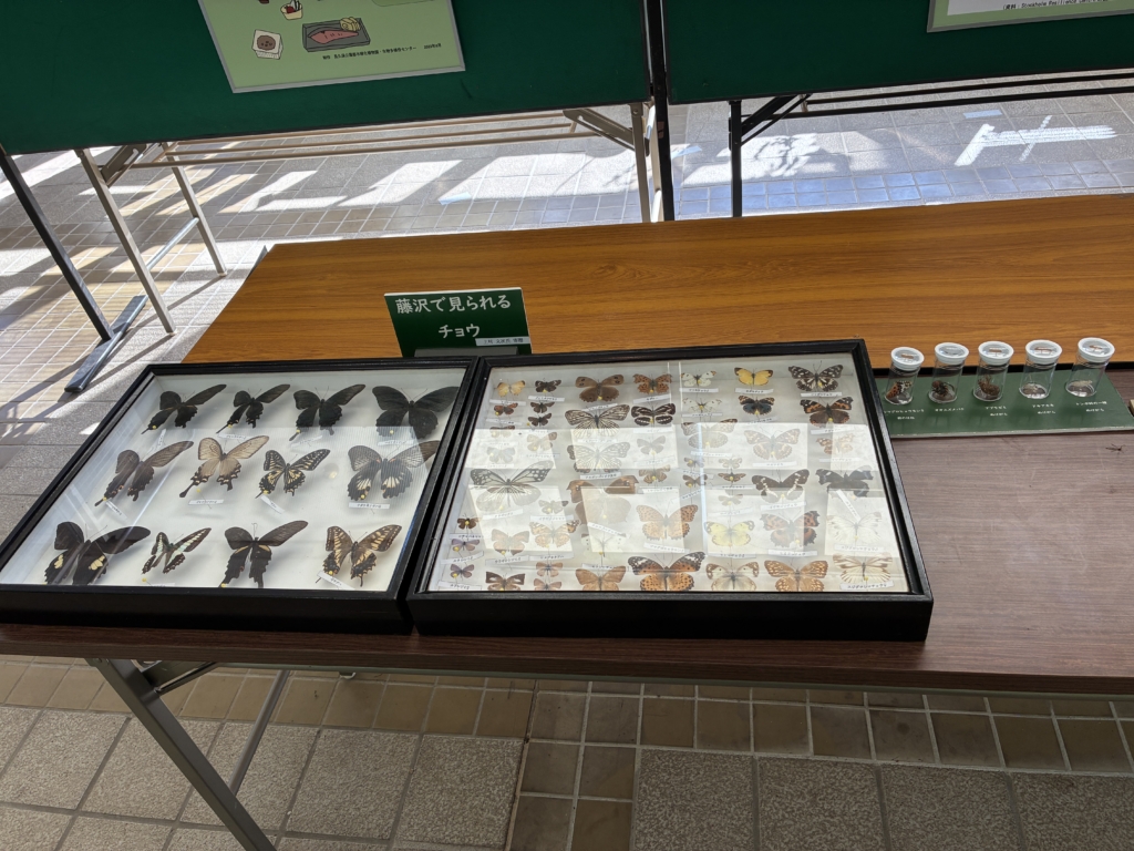 生物多様性への取り組みパネル展①