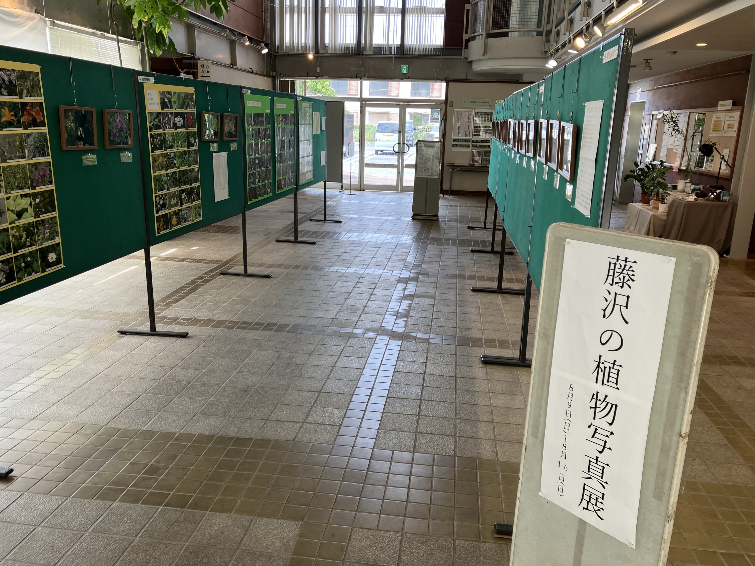 展示会『藤沢の植物写真展』期間延長のお知らせ