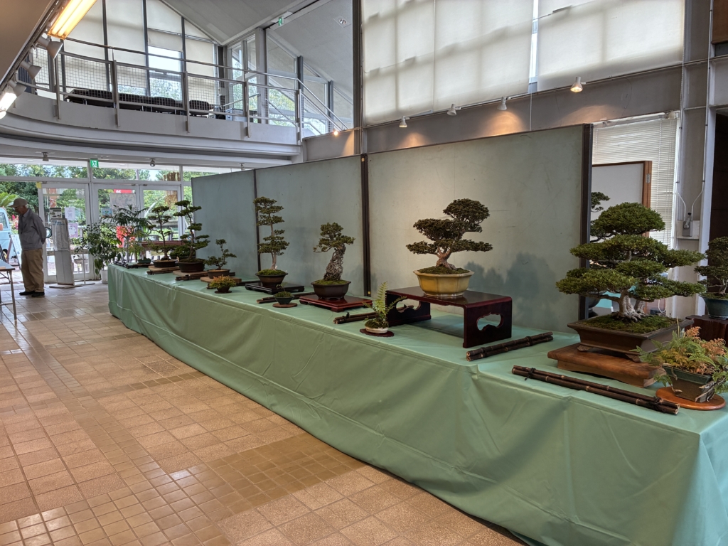 神奈川県さつき会　秋季展