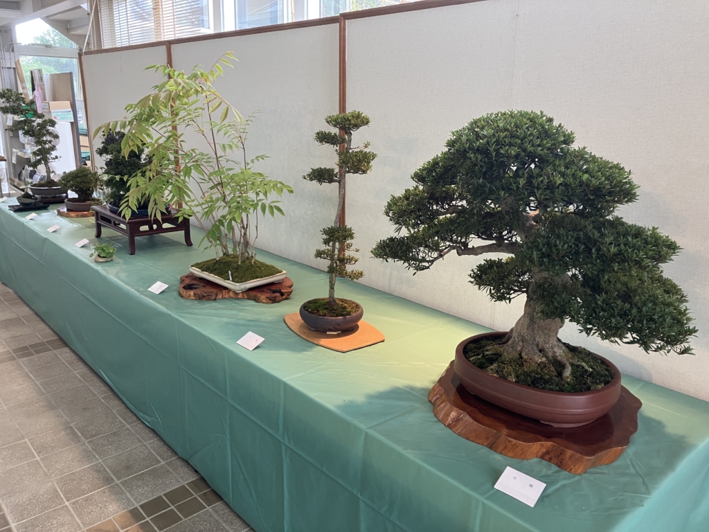 盆栽と山野草展
